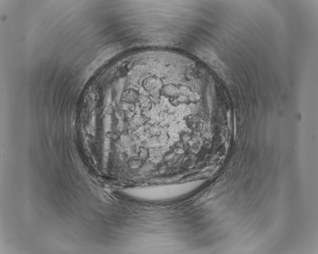 X0000088590483200706081331