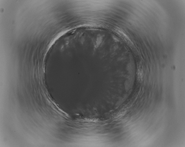 X0000088590484200706081331