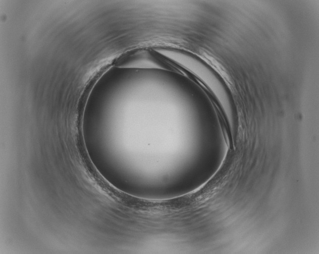 X0000088590485200706081331