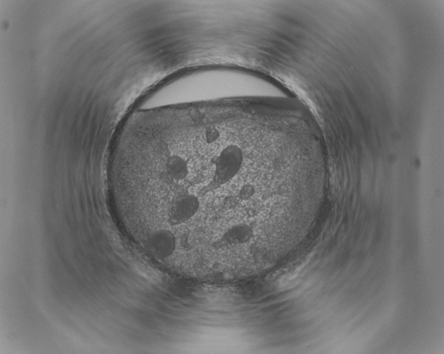 X0000088590487200706081331