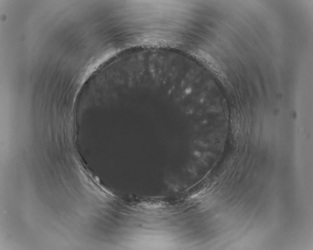 X0000088590488200706081331