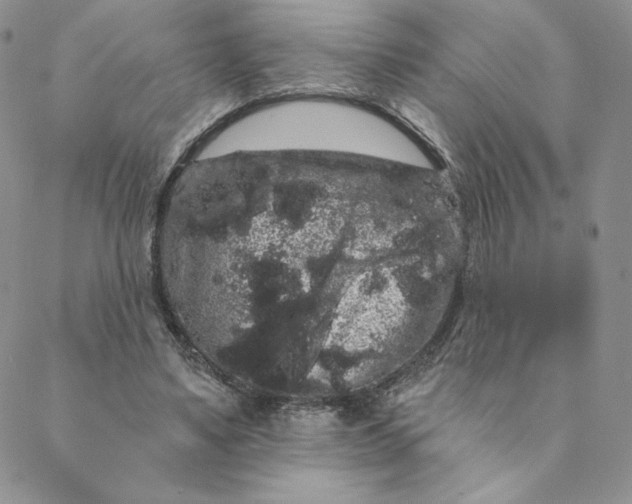 X0000088590491200706081331