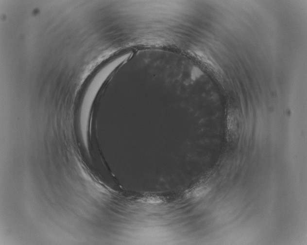 X0000088590492200706081331