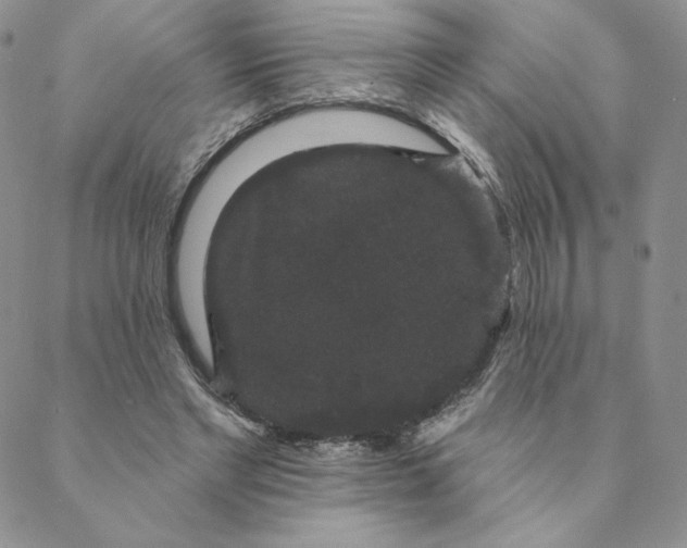 X0000088590493200706081331