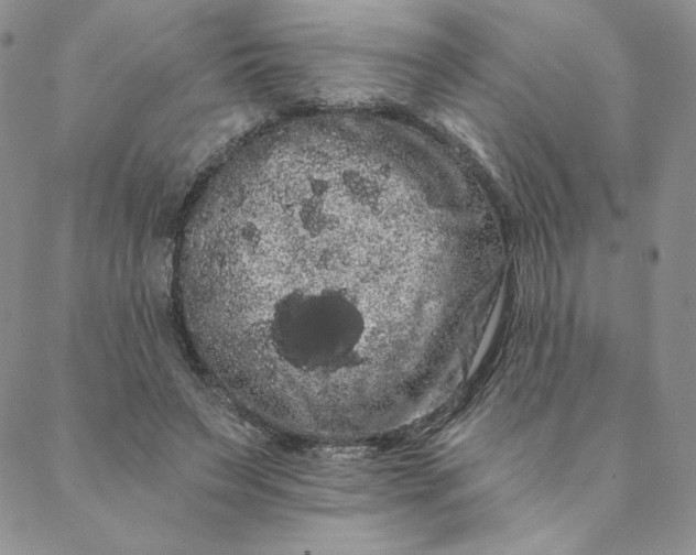 X0000088590495200706081331