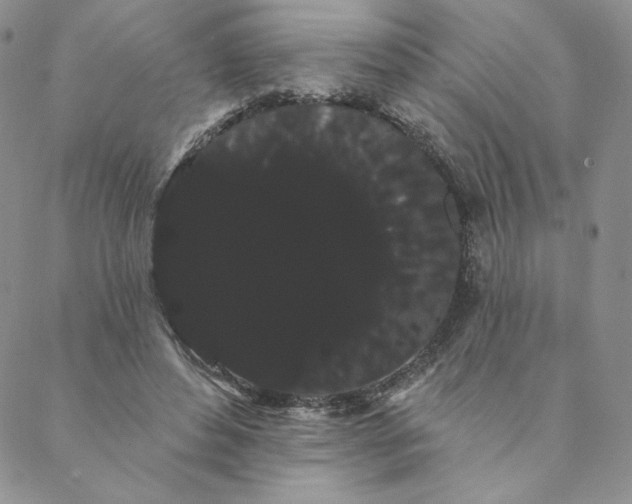 X0000088590496200706081331