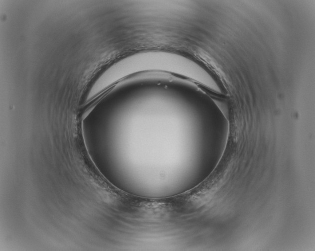 X0000088590497200706081331