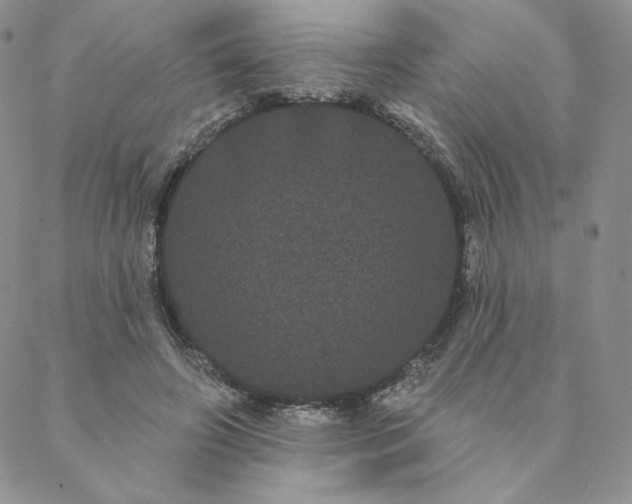 X0000088590498200706081331