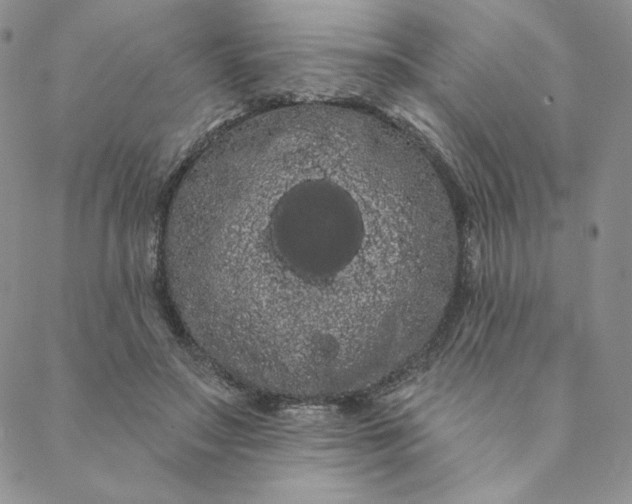 X0000088590499200706081331