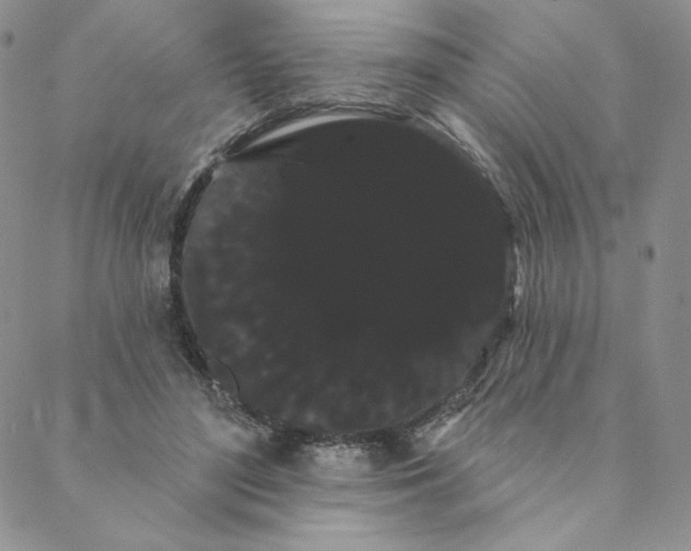 X0000088590500200706081331