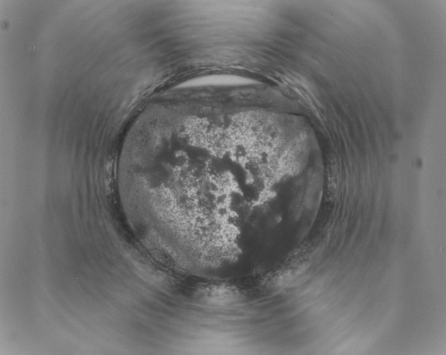 X0000088590503200706081331