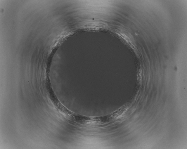 X0000088590504200706081331