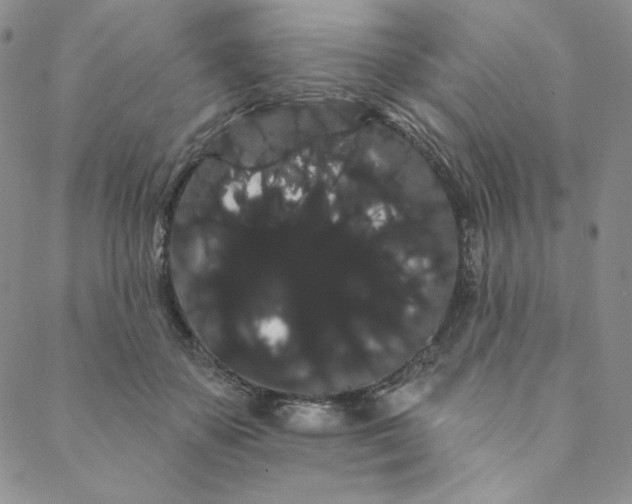 X0000088590507200706081331