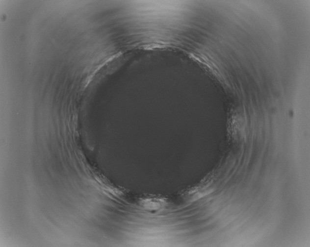 X0000088590508200706081331