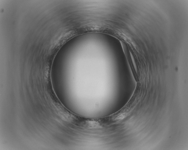 X0000088590509200706081331