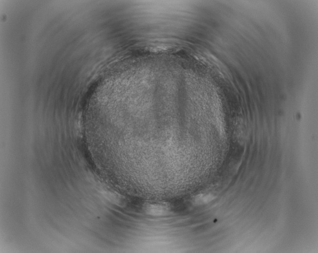 X0000088590510200706081331