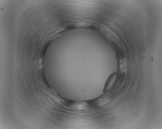 X0000088590514200706081331