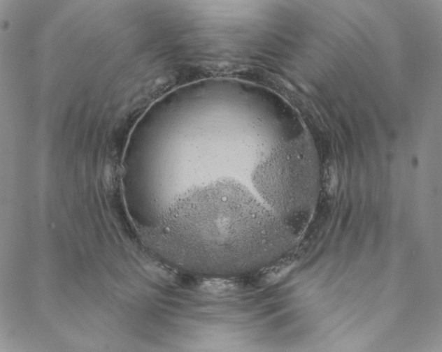 X0000088590515200706081331