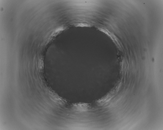 X0000088590517200706081331