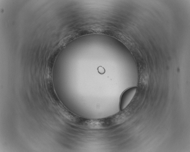 X0000088590518200706081331