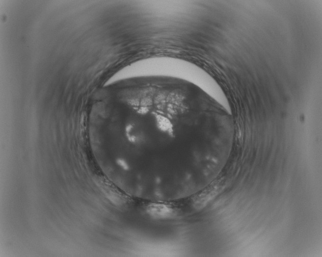 X0000088590519200706081331