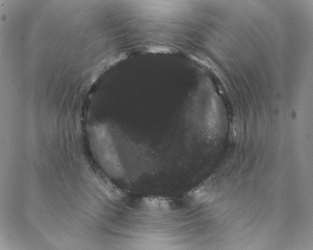 X0000088590520200706081331