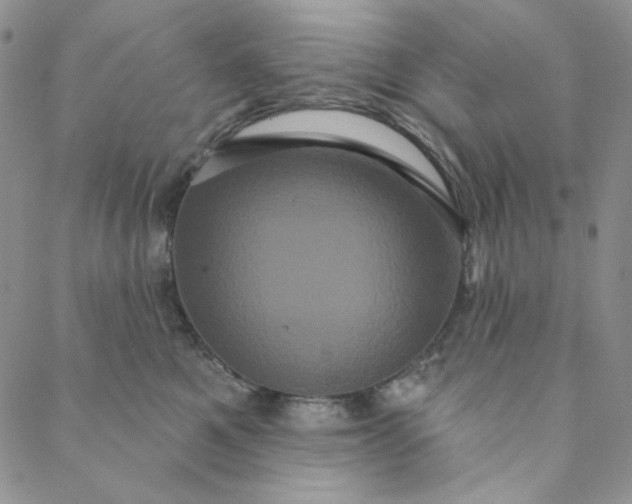 X0000088590521200706081331