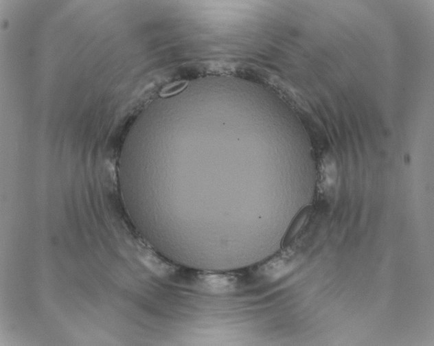 X0000088590522200706081331