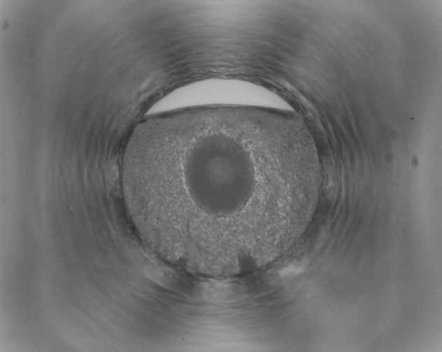 X0000088590523200706081331