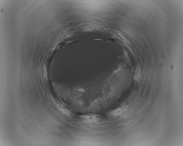 X0000088590524200706081331