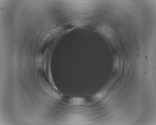 X0000088590526200706081331