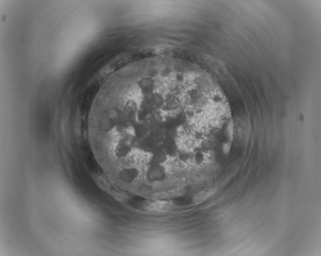 X0000088590527200706081331