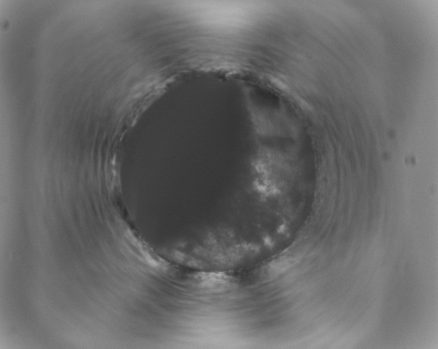 X0000088590528200706081331