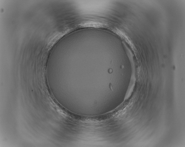 X0000088590529200706081330