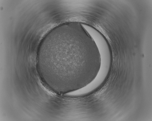 X0000088590530200706081330