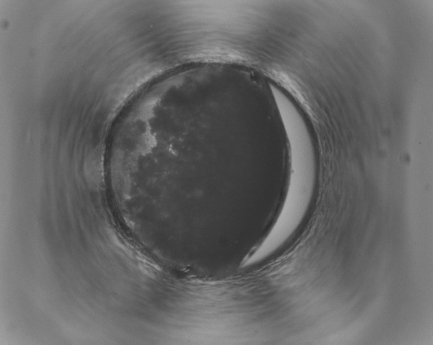 X0000088590531200706081330