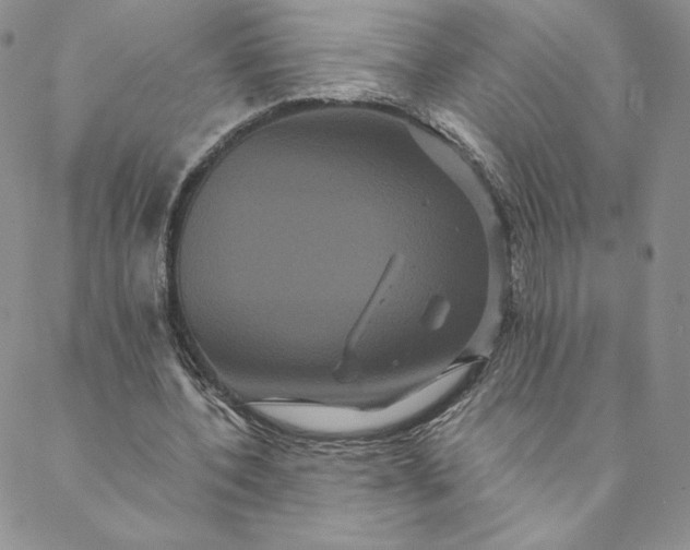 X0000088590532200706081330