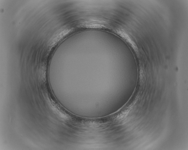 X0000088590533200706081330