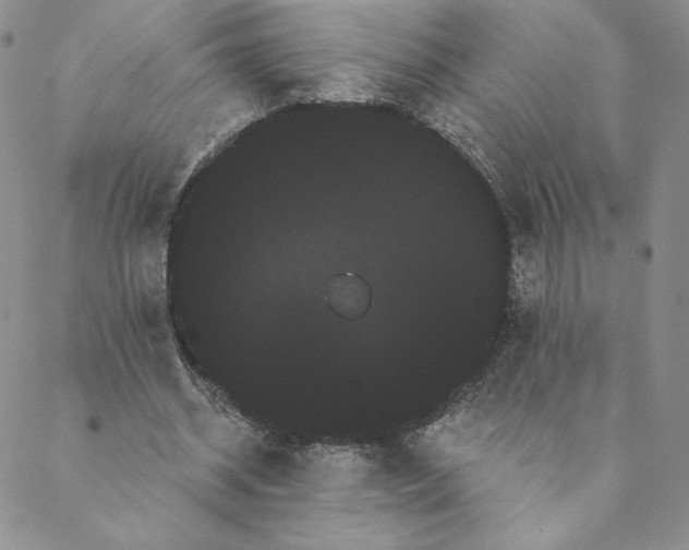 X0000088590534200706081330