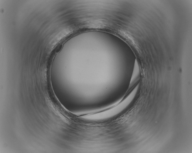 X0000088590535200706081330