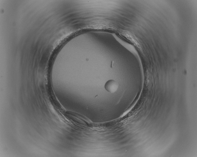 X0000088590536200706081330