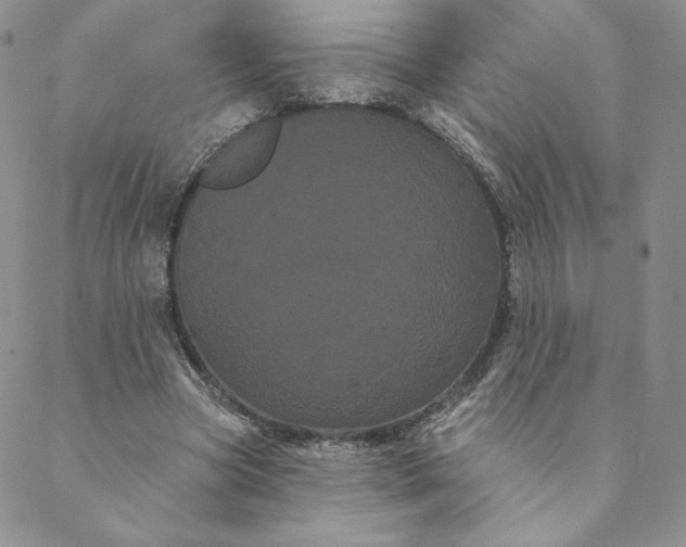 X0000088590537200706081330