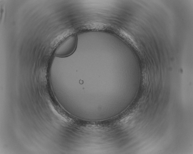 X0000088590538200706081330