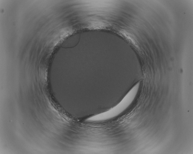 X0000088590539200706081330