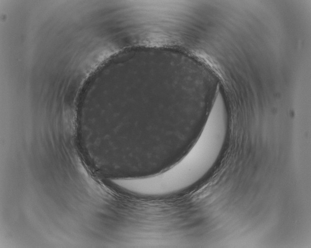 X0000088590540200706081330