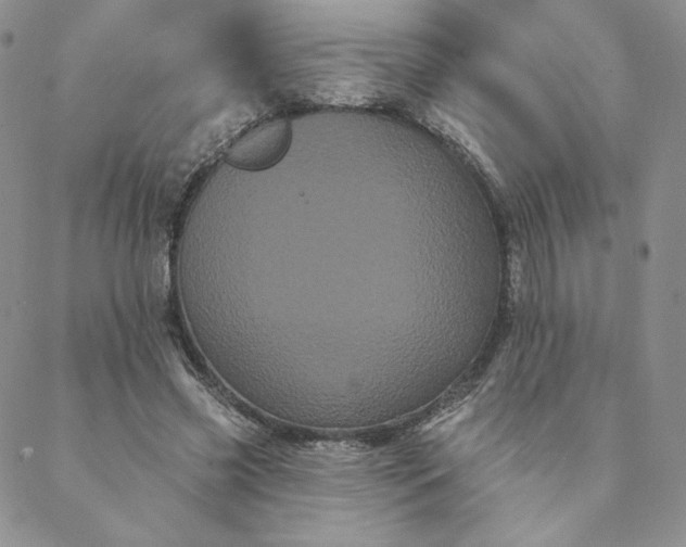 X0000088590541200706081330