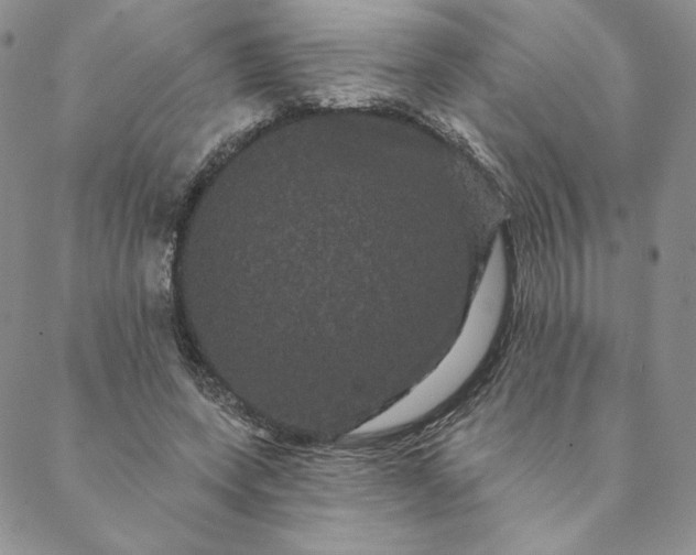 X0000088590543200706081330