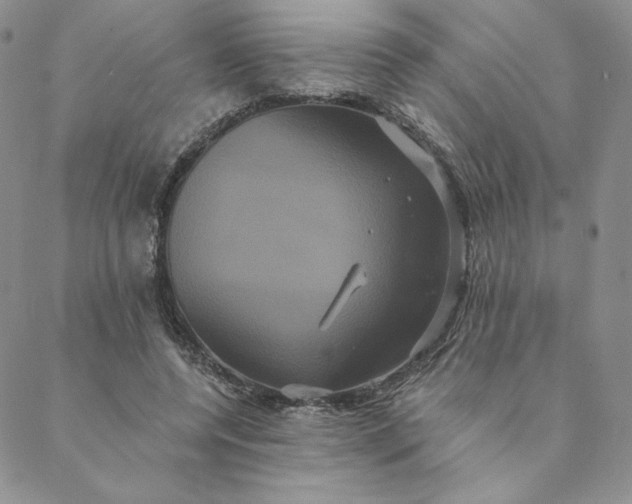 X0000088590544200706081330