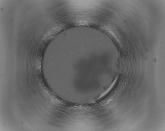 X0000088590545200706081330