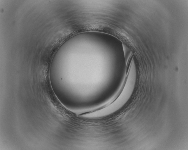 X0000088590546200706081330